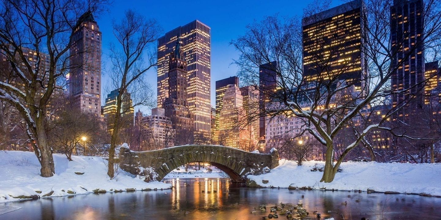 Central Park at night in winter